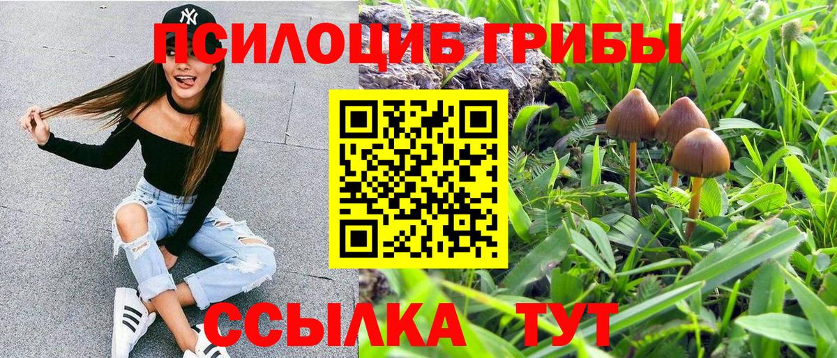 Галлюциногенные грибы ЛСД  Вход с VPN  Галлюциногенные грибы прущие грибы  Старая Купавна 